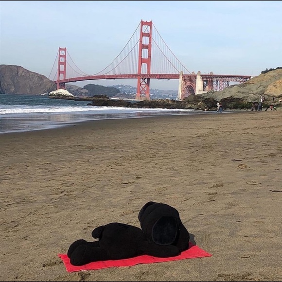 Kaws X Peanuts 22 Inch Snoopy - Picture 4 of 8